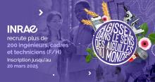 recrute